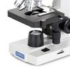 AmScope OMAX 40X-2000X Lab LED Binocular Compound Microscope with Double Layer Mechanical Stage and Coaxial Coarse/Fine Focusing Knob view 2