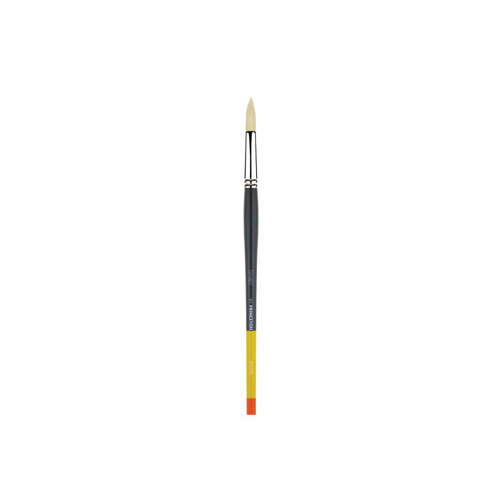 Princeton Snap! 9700AB-10 SNAP Brush Bristle Angle Bright 10, Multicolor 12 Each