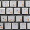 Apple German Labels Layout for Keyboard with Orange Lettering Transparent for Desktop, Laptop and Notebook view 1