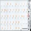Apple German Labels Layout for Keyboard with Orange Lettering Transparent for Desktop, Laptop and Notebook view 2