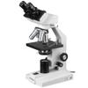 AmScope B100B-M Digital Compound Binocular Microscope, 40X-2000X Magnification, Brightfield, Tungsten Illumination, Abbe Condenser, Plain Stage, Includes 1.3MP Camera with Reduction Lens and Software view 4