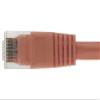 10ft Cat 5E Unshielded (UTP) Ethernet Network Cable - Orange view 4