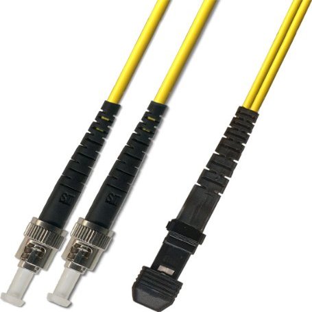 1ft ST to MTRJ Singlemode Duplex Fiber Optic Cable (9/125) 0.3M Meter