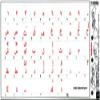 Arabic Keyboard Labels with RED Lettering ON Transparent Background for Desktop, Laptop and Notebook are Compatible with Apple view 2