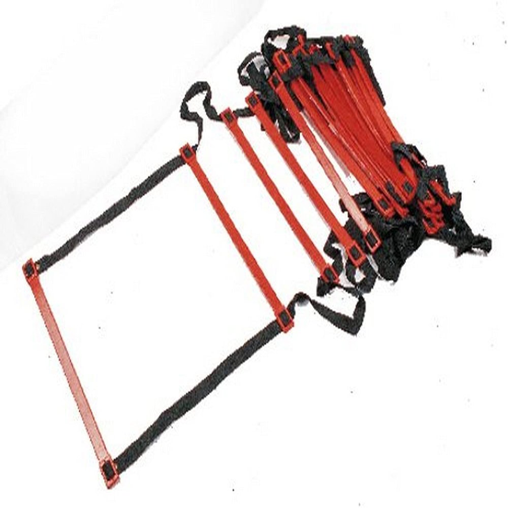 TAP Flat Rung Ladder, 30-Feet