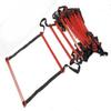 TAP Flat Rung Ladder, 30-Feet view 1