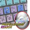 APPLE SIZE KEYBOARD STICKER PROPELLERHEAD REASON GALAXY SERIES view 1