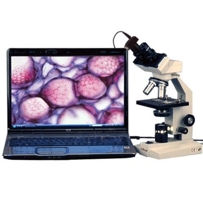 AmScope B100B-3M Digital Compound Binocular Microscope, 40X-2000X Magnification, Brightfield, Tungsten Illumination, Abbe Condenser, Plain Stage, Includes 3MP Camera with Reduction Lens and Software