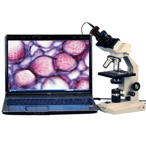AmScope B100B-3M Digital Compound Binocular Microscope, 40X-2000X Magnification, Brightfield, Tungsten Illumination, Abbe Condenser, Plain Stage, Includes 3MP Camera with Reduction Lens and Software