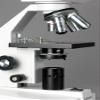AmScope B100B-3M Digital Compound Binocular Microscope, 40X-2000X Magnification, Brightfield, Tungsten Illumination, Abbe Condenser, Plain Stage, Includes 3MP Camera with Reduction Lens and Software view 4