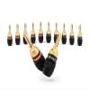 Deadbolt Banana Plugs 6-Pairs by Sewell, Gold Plated Speaker Plugs, Quick Connect, SW-29863-6 view 1