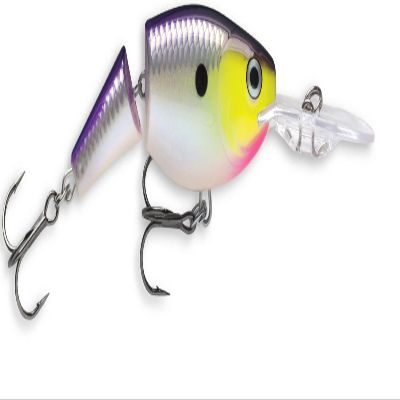 Rapala Jointed Shad Rap 07 Fishing lure, 2.75-Inch, Purpledescent