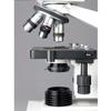 AmScope B400A-LED Compound Binocular Microscope, WF10x and WF16x Eyepieces, 40X-1600X Magnification, Brightfield, LED Illumination, Abbe Condenser, Double-Layer Mechanical Stage, Sliding Head, High-Resolution Optics, view 3