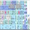 4Keyboard Steinberg CUBASE/NUENDO Galaxy Series Keyboard Stickers Shortcuts 12X12 Size view 2