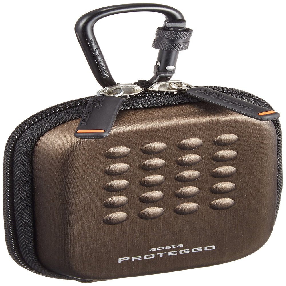 (Kenko) aosta AOC-PG1PO-BR Digital Camera Case, PROTEGGO, Brown