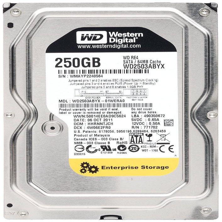 250GB 7200RPM 64MB Cache SATA 3Gb/s- RE4 - WD2503ABYX