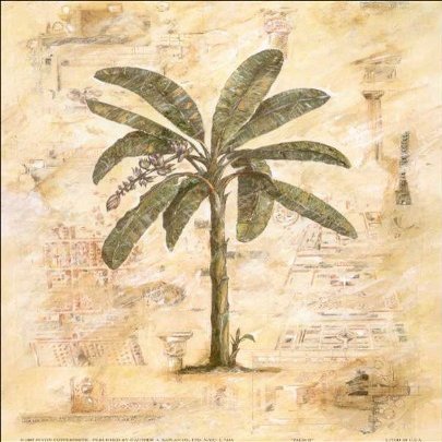 Palm II Paper Tole 3D Kit 8x10