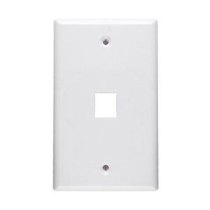 Signamax SKF-2 2-PORT High Impact Thermoplastic 1-Gang 2-Port Faceplate With Labelling Windows