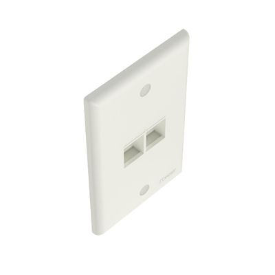 Panduit NK2FNIW 2-Slot Vertical Faceplate, 1 Gang, 2 Keystone Ports, Flush/Threaded Mounting, Off White, ABS
