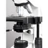 AmScope B660A 1500X Siedentopf Binocular Compound Microscope, 40X-1500X Magnification, WH10x and WH15x Super-Widefield Eyepieces, Semi-Plan Objectives, Brightfield, Kohler Condenser, Double-Layer Mechanical Stage view 4