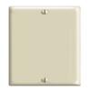 Leviton 1 gang Ivory Nylon Blank Wall Plate Cover 1 pk Pack of 25 view 1