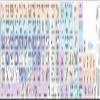 Adobe Flash Galaxy Series Keyboard Labels 12x12 Size view 1