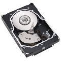 9FL066-150 Seagate 300GB 15K RPM Form Factor 3.5 Inches Hot Swap