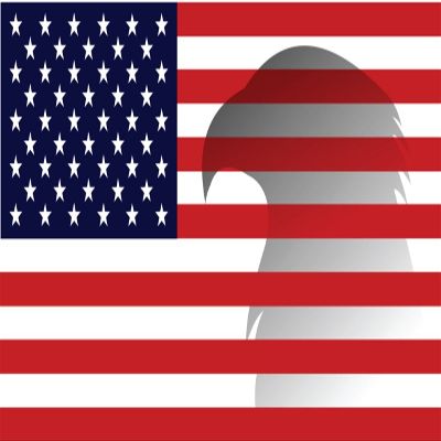 American Flag Living Room Picture Art - Peel & Stick Vinyl Wall Decal Sticker 9x15