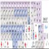 4Keyboard TRAKTOR PRO GALAXY SERIES NEW KEYBOARD LABELS 12x12 SIZE view 2