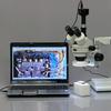 AmScope MU800 8.0MP Digital Microscope Camera for Still and Video Images, 40x Magnification, 0.5x Reduction Lens, Eye Tube or C-Mount, USB 2.0 Output, Includes Software view 4