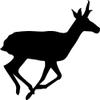 Express Yourself Pronghorn on The Move Wall Decal (Black -Facing as Shown- Small) - Big Game Collection view 1