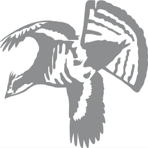 Express Yourself Ruffed Grouse Single Wall Decal (Med Grey - Reverse Facing - Small) - Upland Game Bird Collection