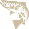 Express Yourself Brown Trout Wall Decal (Beige -Facing as Shown- Small) - Freshwater Fish Collection view 1