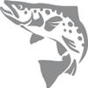 Express Yourself Brown Trout Wall Decal (Med Grey -Facing as Shown- Small) - Freshwater Fish Collection view 1