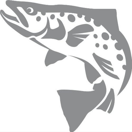 Express Yourself Brown Trout Wall Decal (Med Grey - Reverse Facing - Small) - Freshwater Fish Collection