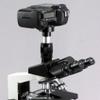 AmScope CA-NIK-SLR-II Nikon SLR / D-SLR Camera Adapter for Microscopes - Microscope Adapter view 4