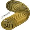 Brady 87112 1 1/2" Diameter, Stamped Brass Valve Tags, Numbers 301-325, Legend "CWR" (Pack of 25 Tags) view 1
