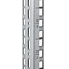 Triton - Vertikale Montageleiste 32U view 1