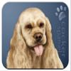 Cocker Spaniel "for Dog Lovers Only" Mouse Pad and Mug Combo Set (blue) view 2