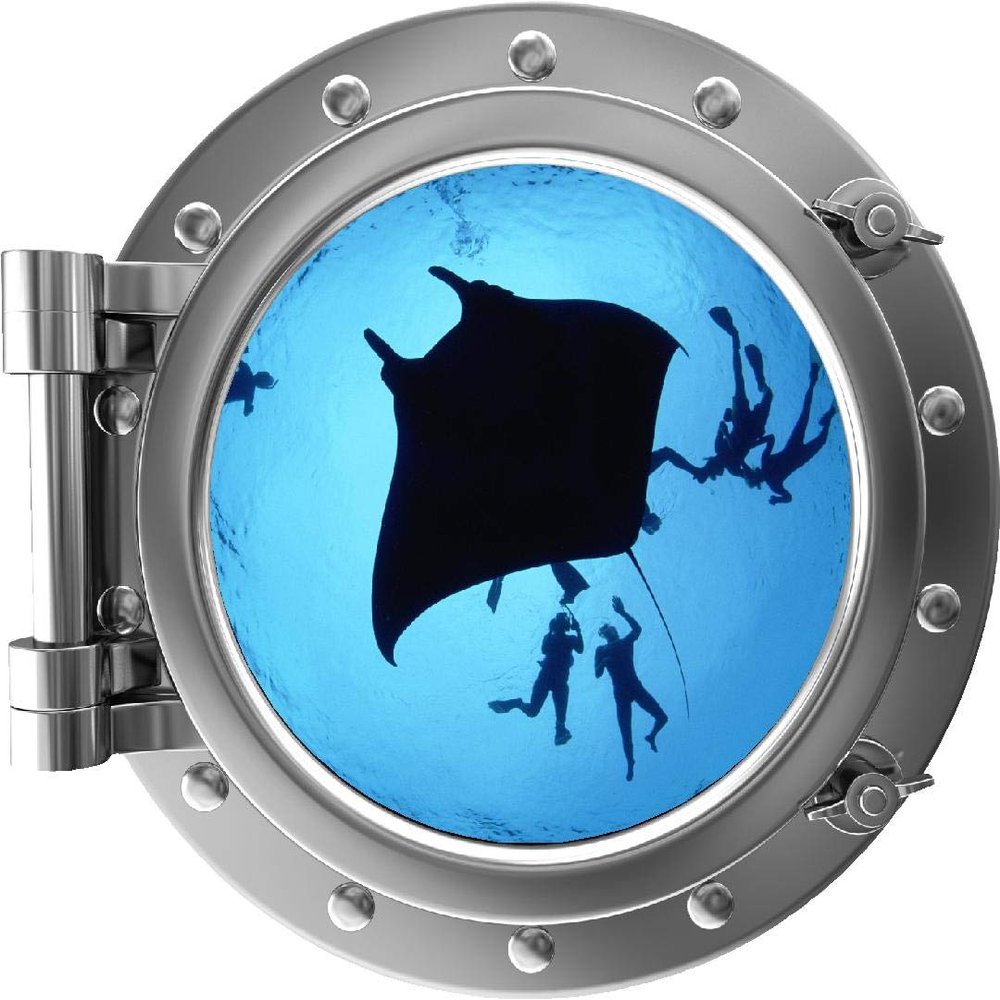24" Port Scape Instant View Sea Porthole 3D Window Sting Ray #1 Silver Wall Decal Removable Fabric Wall Sticker Ocean Under The Sea Fish Graphic