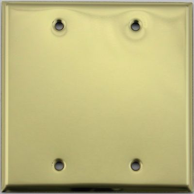 Stamped Polished Brass 2 Gang Blank Wall Plate