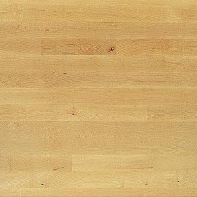 Stanley Proto J4566-HWT 450HS 66-Inch Wood Worktop