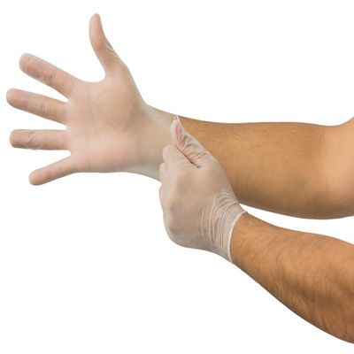 Ansell Microflex Derma Free DF-850 Disposable Smooth Vinyl Gloves for Food Prep & Handling - Medium, Natural (Case of 1000)
