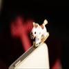 Mallofusa Crystal Metal Koala Anti Dust Plug Stopper/Ear Cap/Cell Phone Charms for Apple iPhone6 6s,Samsung Galaxy S3 S4 Note3 Note 2,HTC and Other 3.5mm Earphone Jack Phones view 4