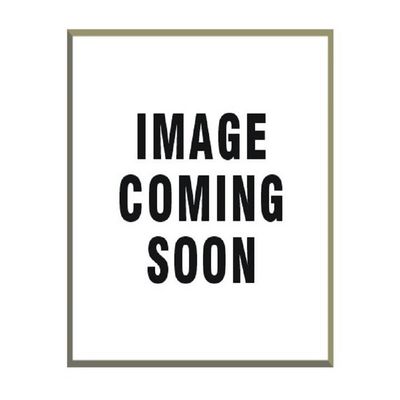 PQN ENTRPRIS ECO604W ECO60-4W 1PR 6'' SPEAKERS WHITE