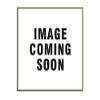 PQN ENTRPRIS ECO604W ECO60-4W 1PR 6'' SPEAKERS WHITE view 1