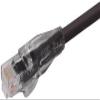L-COM TRD815BLK-25 CATEGORY 5E CABLE ASSEMBLY view 1