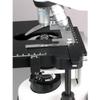 AmScope B690A-PCT200INF-PL Siedentopf Binocular Compound Microscope, 40X-1500X Brightfield Magnification, 100X-1500X Turret-Mounted Phase-Contrast Illumination, WH10x and WH15x Super-Widefield Eyepieces, Infinity Plan Objectives, Kohler Condenser, Do view 4