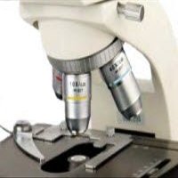 1172756 Objective Infinity Plan 100x Ea Unico -IP750-2304