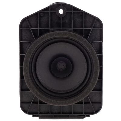 GM Speaker